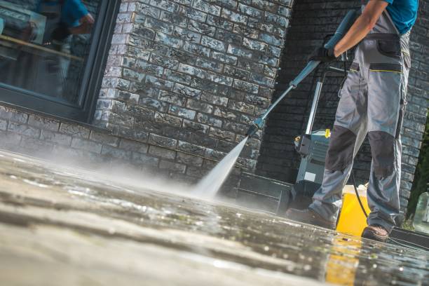 Best Roof Washing  in Al Creek, CO